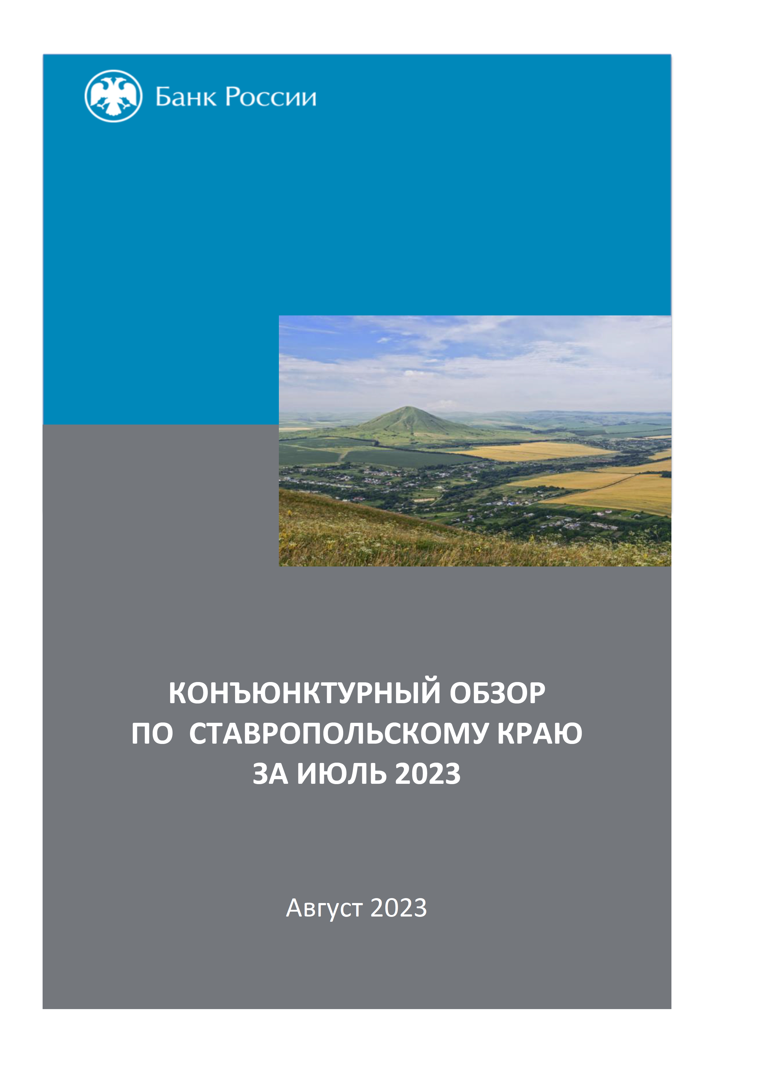 Конъюнктурный обзор по Ставропольскому краю за июль 2023